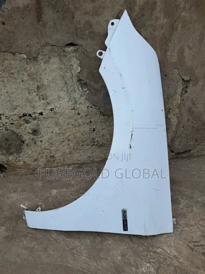 Hyundai Ioniq Fender Available