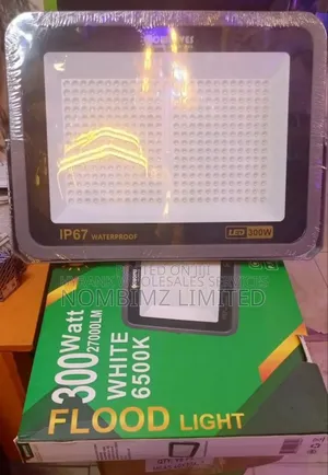 300w Cwolves Long-Distance SMD Led Flood Light