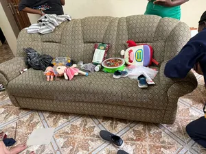 Professional House Cleaning