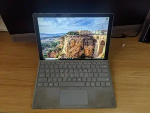 Microsoft Surface Pro 4 256 GB Gray