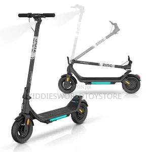 Adult Electric Formula Zinc Scooter