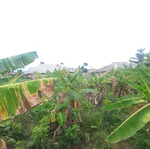 A Plot of Land