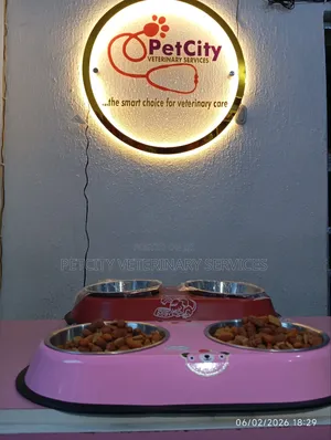 Stainless Steel Double Feed and Water Bowl