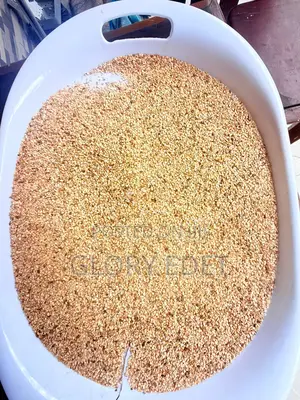 Sesame Seeds