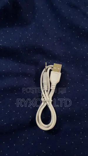 Pin Mouth Wand/Bullet Vibrator Usb Charger