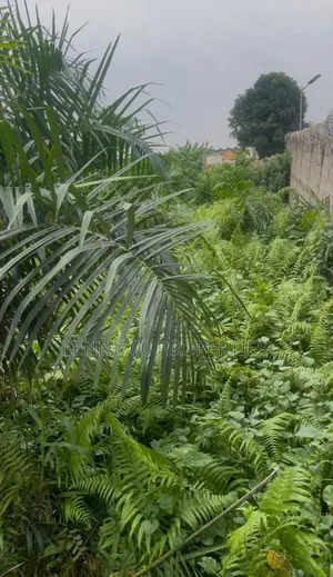 Swampy Lands for Sale at Alagbole, Berger