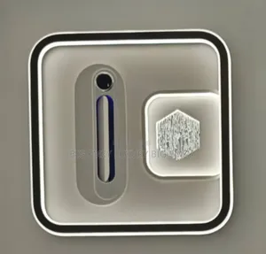 Ai Voice Control and Bluetooth Ceiling Mount Flush Light