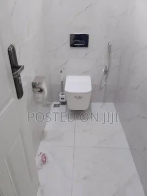 Conceal or Conduit Wc