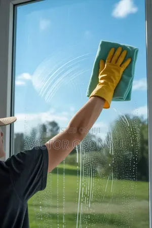 Cleaning Service