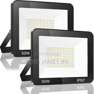 Electric Flood Light