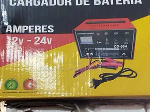 Battery Charger 12_24v