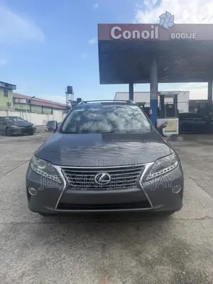 Lexus RX 2013 Gray