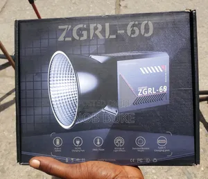 ZGRL -60 Light With Inbuilt Battery