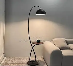 Modern 2 in 1 Arc Floor Lamp