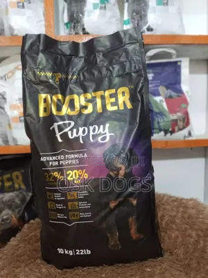 Booster Puppy