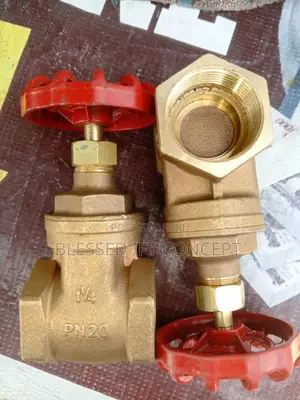 1/4 Italy Brass Gate Valve