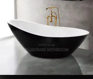 Bath Tub With Mixer