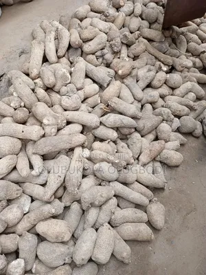 Benue and Abuja Yam Set