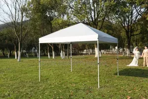 10 by 10 White Folding Canopy Tent