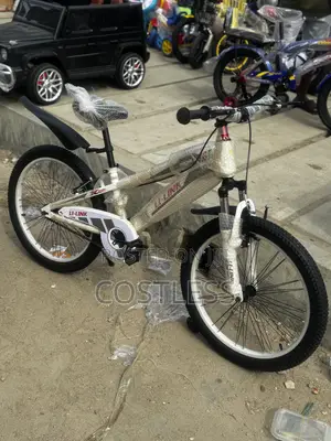 20 Inch Teenagers Sport Bicycle