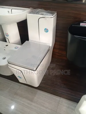 Luxury White and Black Strip Water Closet