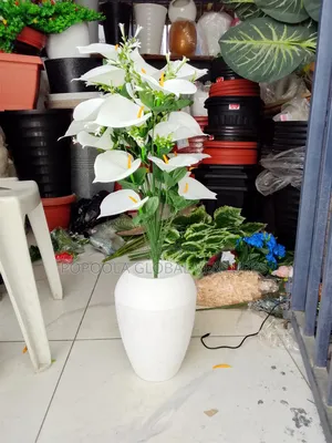Flower Pots and Flowers