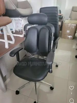 Modern Ergonomic Office Chair