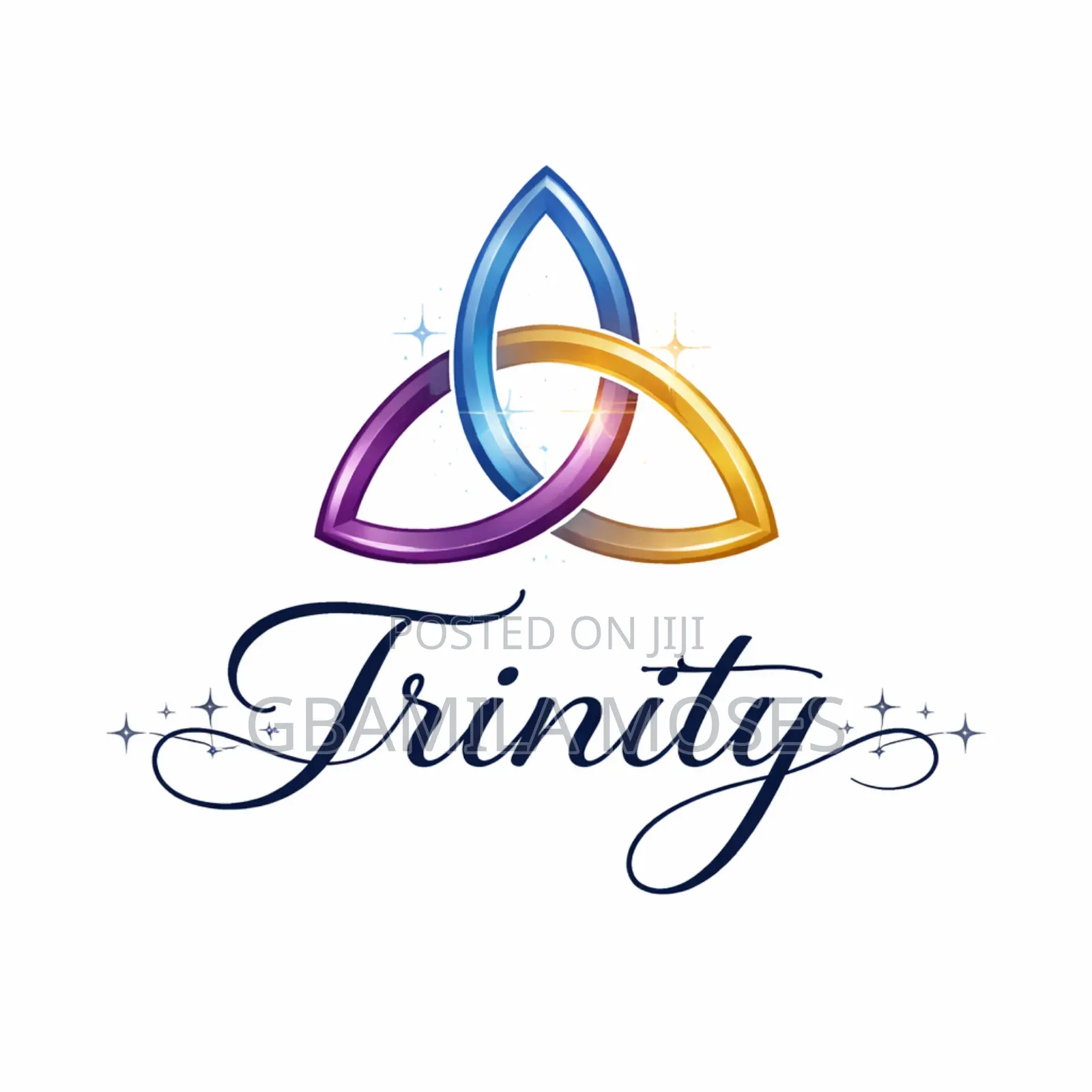 Detail Oriented and Efficient Computer Analyst