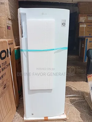 Lg Standing Freezers