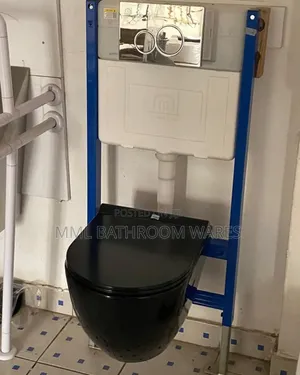 Black Wall Hung Wc With Tank