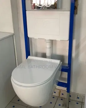 White Wall Hung Wc With Tank