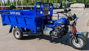 New Tricycle 2026 Blue