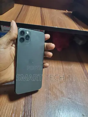 Apple iPhone 11 Pro Max 64 GB Gray