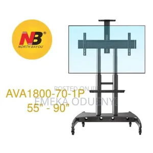 Mobile Television Stand With Mount