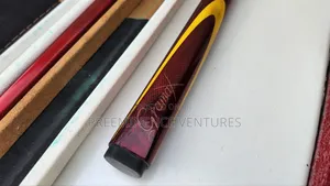 Professional Snooker Stick With Case