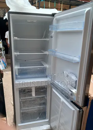 Hisense Standing Fridge