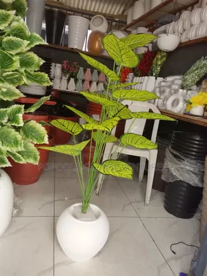 Flower Pot and Flowers