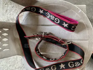 Dog Leash Available