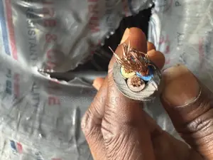 4mmx3c Flexible Wire Divine Sunny