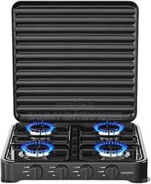 4in1 Gas Stove
