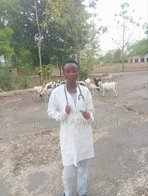 Veterinary Doctor/Consultant
