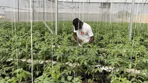 An Experienced Agronomist