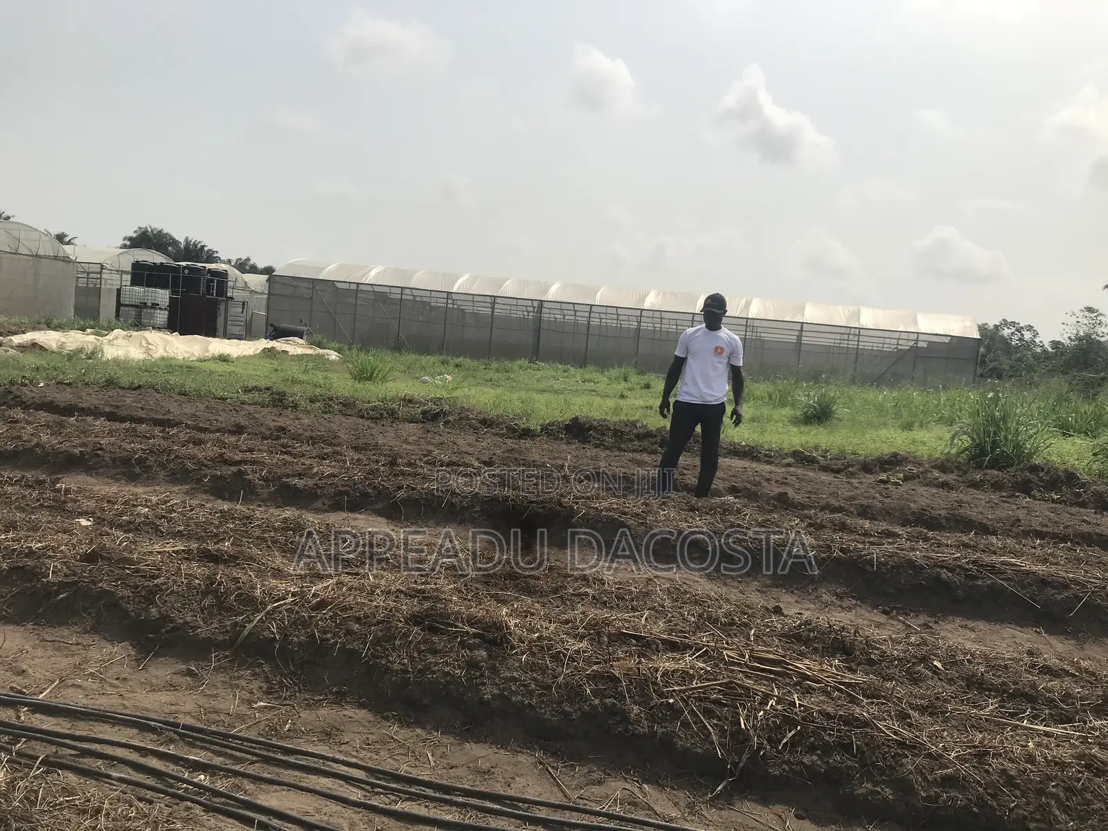 An Experienced Agronomist