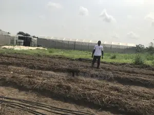 An Experienced Agronomist