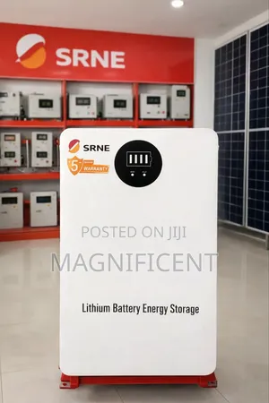 Srne 2.5kwh 24v Lithium Battery – Strong Durable