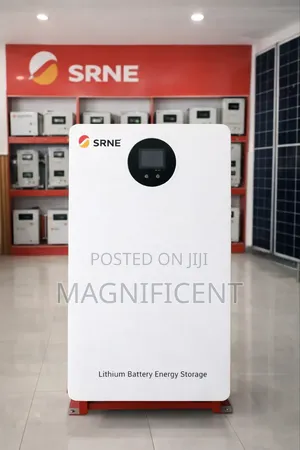 Srne 10kwh Lithium Battery 48v – Premium Power (10 Years Warranty)