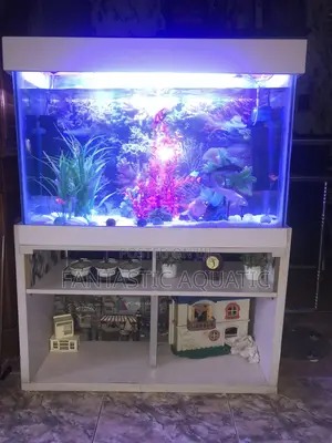 Natural Standard Aquarium
