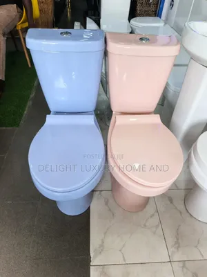 Colored Wc With Basin and Pedestal