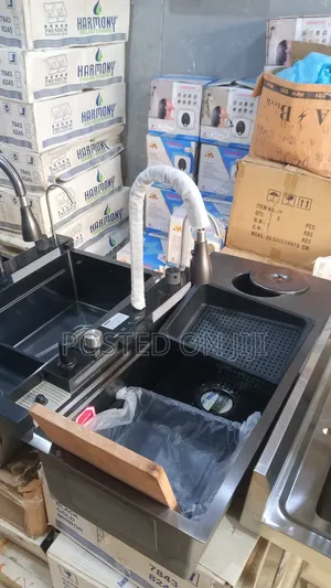 Special Kitchen Sink With Waste Bin
