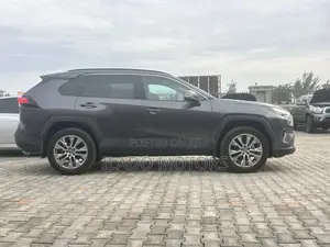Toyota RAV4 XLE AWD 2024 Gray